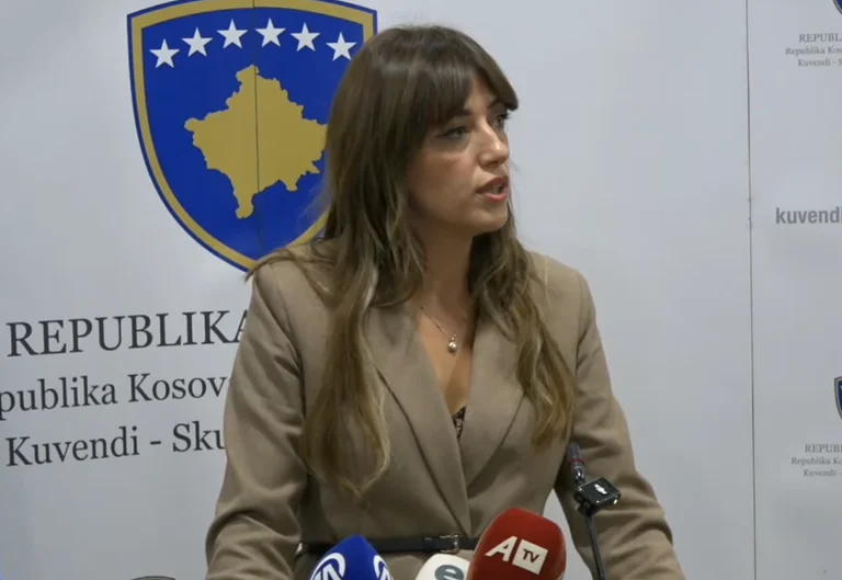 Хаксиу: Я видел политический каприко, бюджет не принадлежит ни Альбину Куртити, ни VV.