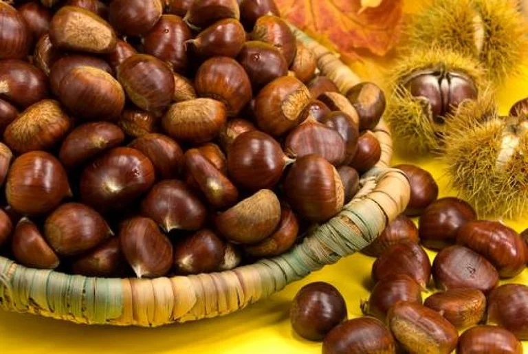 A més d'estar deliciós, quines són les beneficis de salut de maduixes?