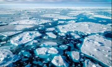 Scientists are surprised at the discovery of life “named impossible” under Arctic ice