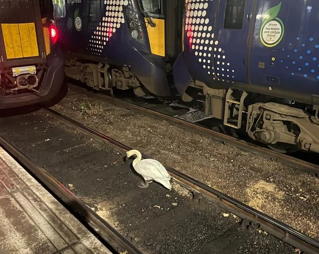 Moor “problem” station on track, delay trains