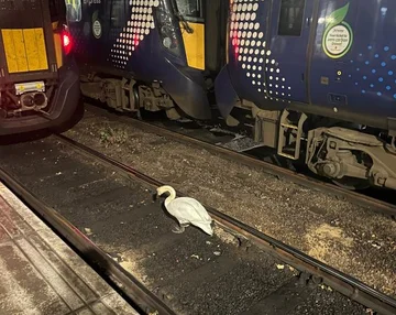 Moor “problem” station on track, delay trains