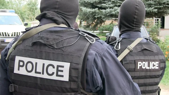 Arrested by suspect in Podujevo, 18 cannabis plants were found