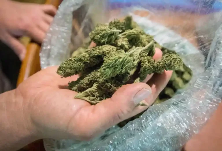 Este marijuana in timpul curatarii unei cabane in Pec