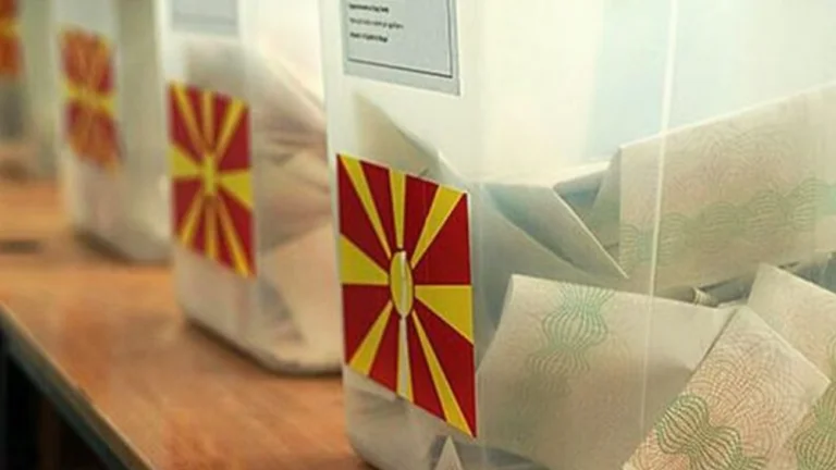 Local elections in northern Macedonia: Who, where did he win?