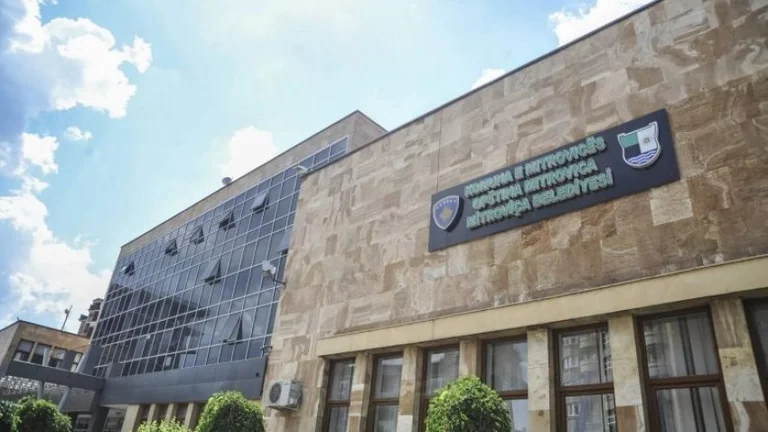 Aceştia sunt cei mai mulţi vicepreşedinţi din Mitrovica de Sud