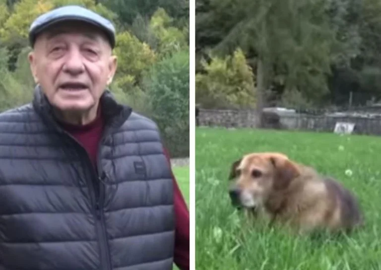 Der Besitzer starb, der berühmte Sängerhund weigerte sich zu essen oder zu trinken (VIDEO)