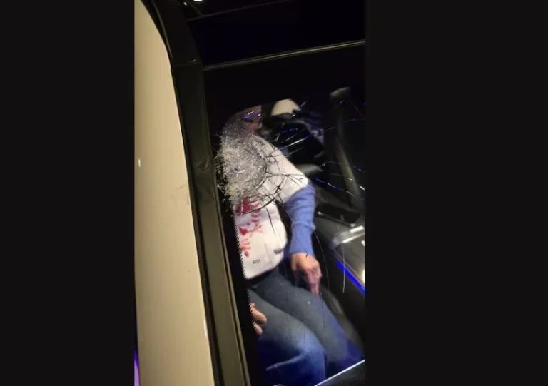 Efter Serbiens match attackerade Albanien en serbisk fan den albanska familjen i Zürich.