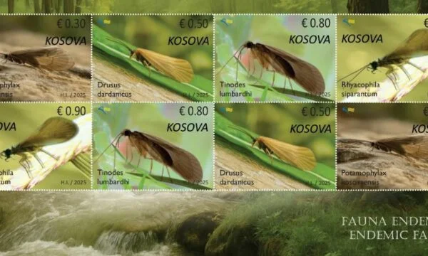 Kosovo Mail은 세계 강의 날에 Wetmic Wildlife에 대한 말