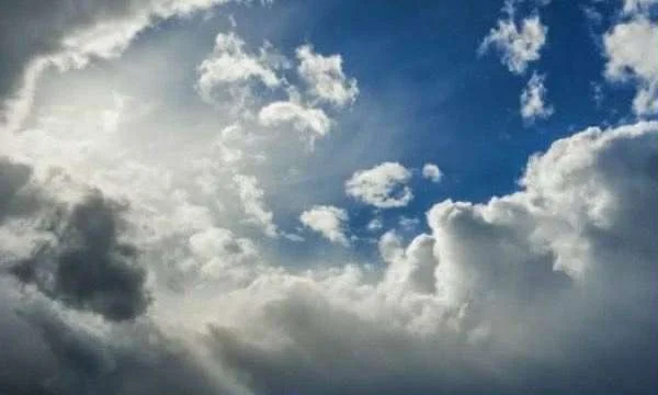 오늘 날씨: 당신은 그들을 살해.