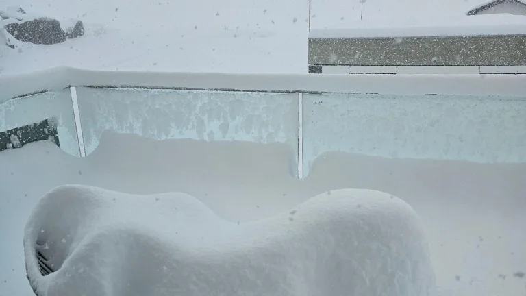 스위스의 Snow First