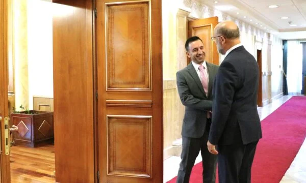 Basha demands support from Albania “in the face of Serbia's aggression” and “insitising” to the EU to remove Kosovo measures