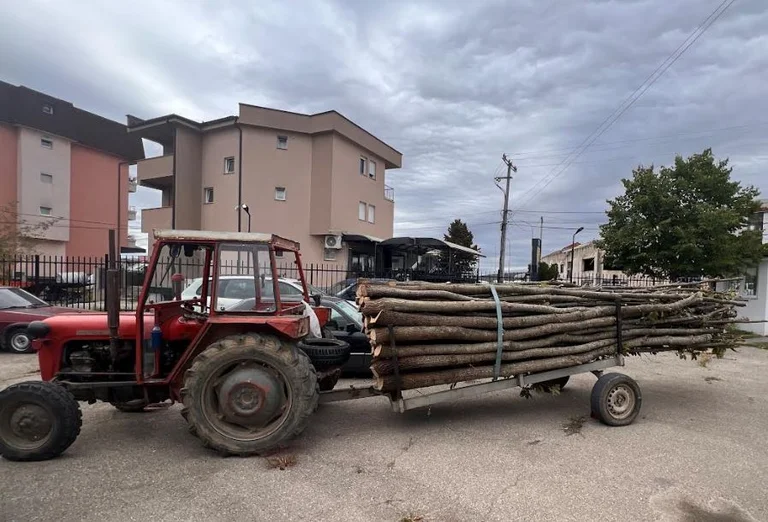 Kline'de tutuklanan üç kişi, yaralı resmi kişiler ve orman hırsızlığından şüphelendi