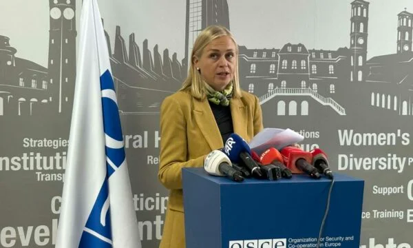 Diplomatul de top finlandez a întrebat de ce nu s-a întâlnit cu Kurt şi Gervala, ca răspuns ea menţionează blocada politică în instituţii