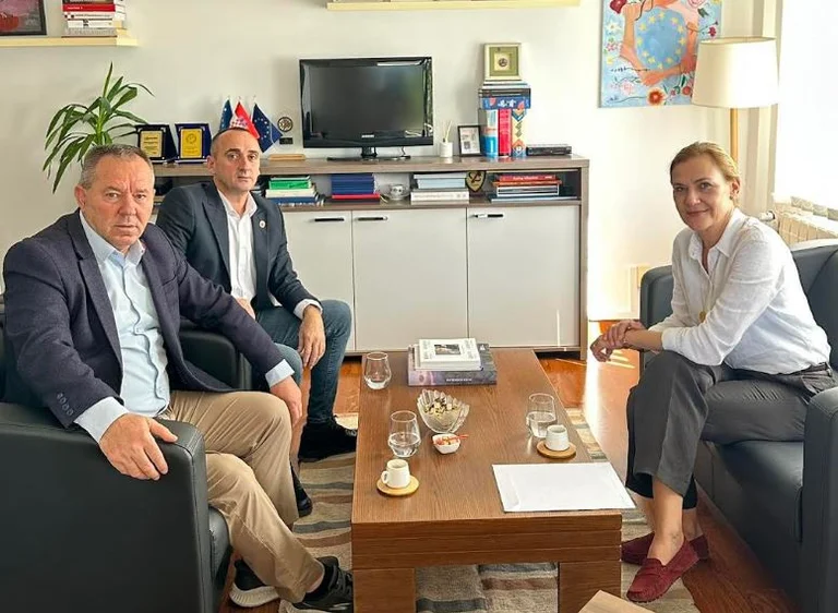 Gaziler, eski KLA liderlerinin Hırvatistan'a özel ve tedavileriyle ilgili endişeleri anlatıyor