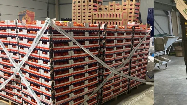 La Croatie a bloqué 8 tonnes de tomates pesticides albanaises, trois arrêtés à Berat
