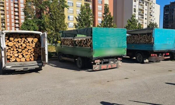 Полиция Феризая обнаружила три автомобиля с неподписанным деревом
