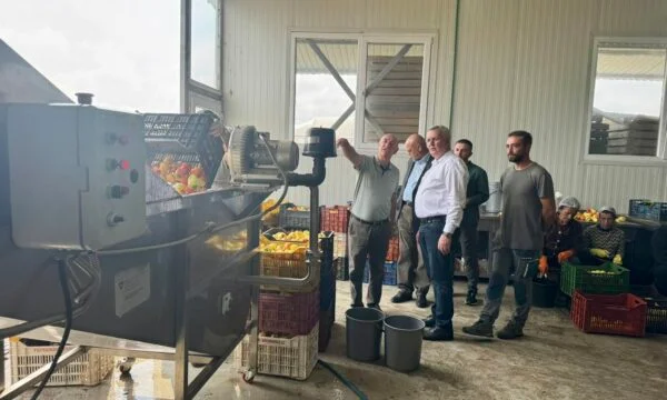 Imri Ahmeti, Lipjan'da 44 hektarlık tarım arazisini yöneten çiftçileri ziyaret ediyor