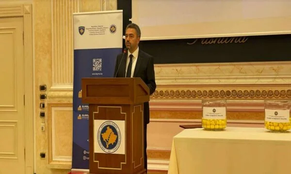 Radoniki: Alegerile nu sunt doar cursa pentru putere, sunt fundamentul democraţiei