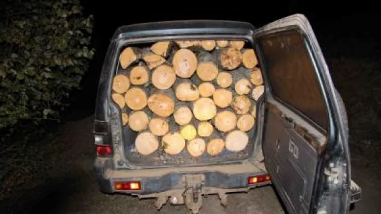 He had loaded wood, suspect attempts to hit Forest Agency officials in Shtrpce by car.