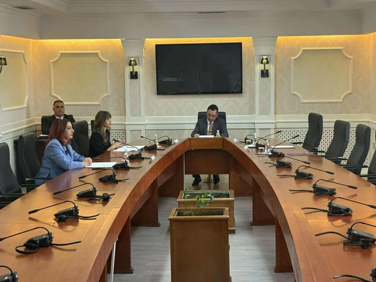 The Assembly of the Headship of the Parliament, present only Basha and Haxhiu