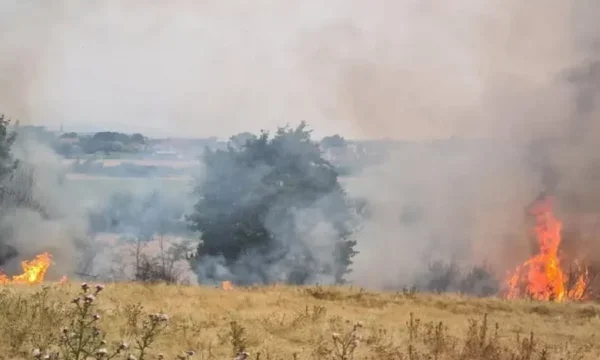 36 melegágy ma Koszovóban, 4 még aktív