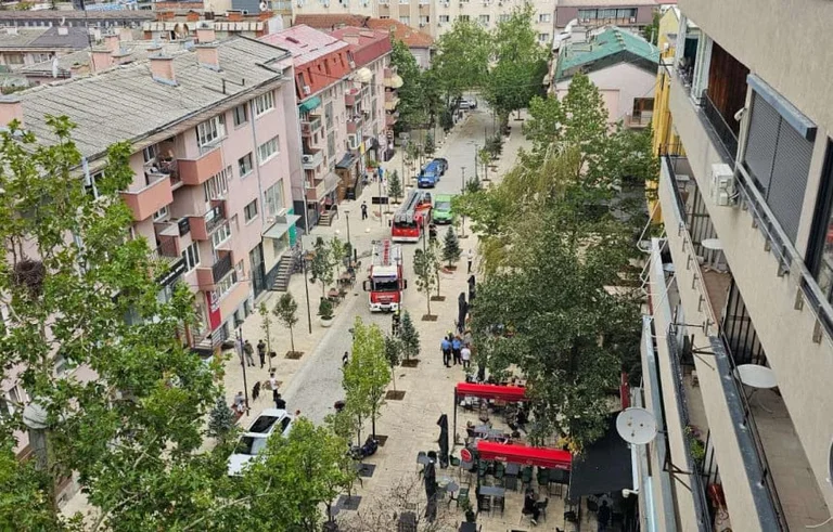 Ande drar ner en ek i centrala Pristina, brandkämpar ingripa