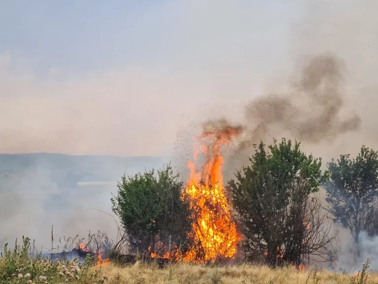 37 Firehouses Recorded Today in Kosovo, 18 Still Active