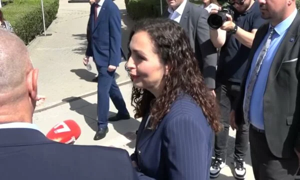 議会の副社長のための投票に参加, 違反として見ました, Osmani: 私は憲法の解釈を与えたくない