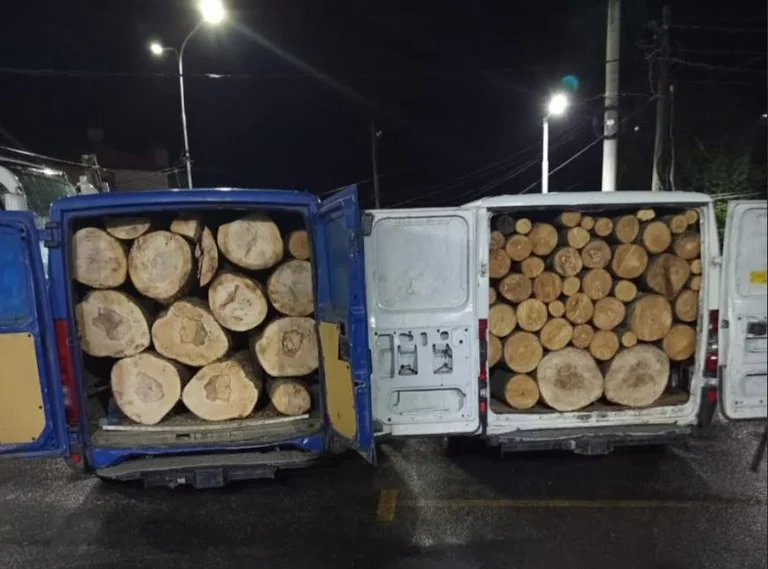 En sektion mot att skära skogar i Sharrbergen, det är vad polisen konfiskerade.