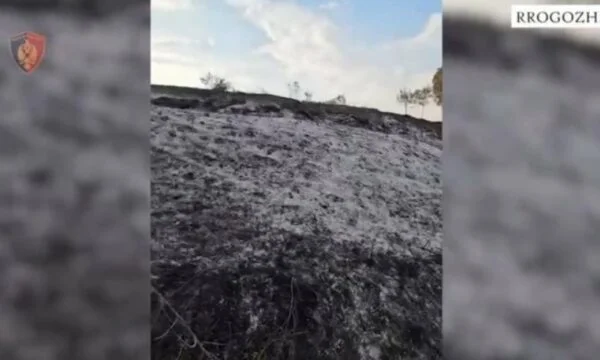 În vârstă de 31 de ani arestat, ars pădure de fructe în Rogozhina