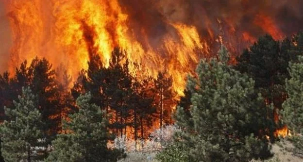 AME: 57 incendii în țară, 11 cetățeni încă activi să fie atent