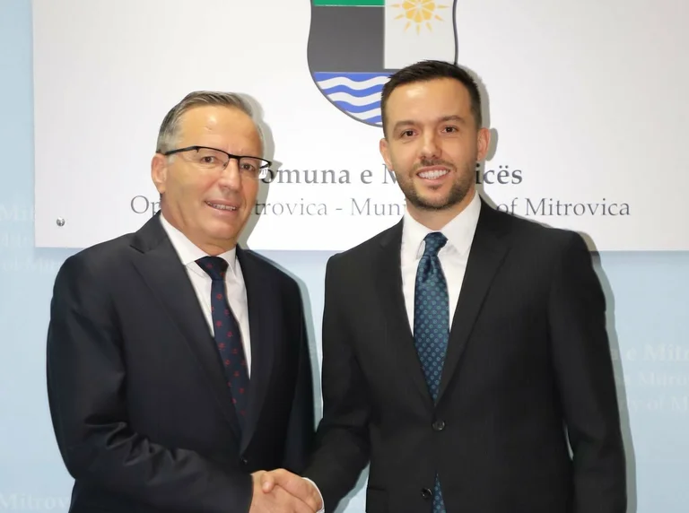 Reprezintă fiecare cartier, sat, grup de vârstă al oricărui cetăţean. Lista candidaţilor PDK pentru Mitrovica