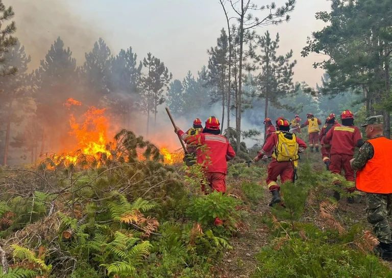 Situationer fra delvis stabile brande i Albanien, 23 stadig aktive steder