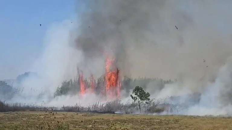 Première victime marquée par des incendies en Albanie