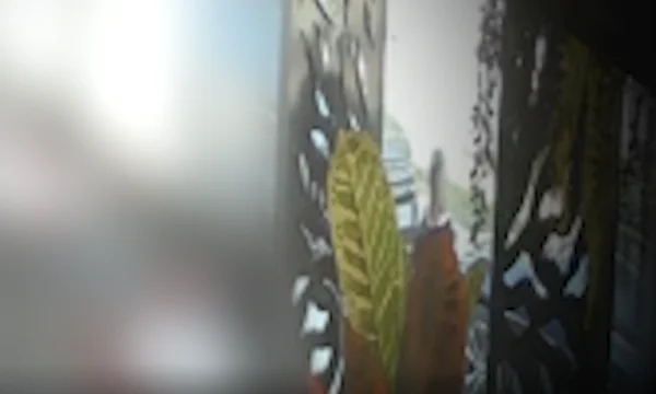 Nouvelles images du meurtre à Gjilan, le moment où la fusillade est entendue et l'une des victimes tombe au sol