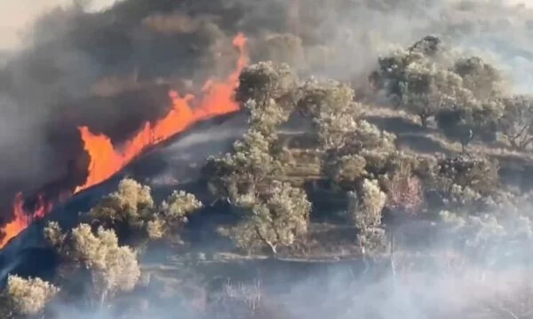 Chaos de feu à oeil bleu dans le sud de l'Albanie, les touristes évacuer