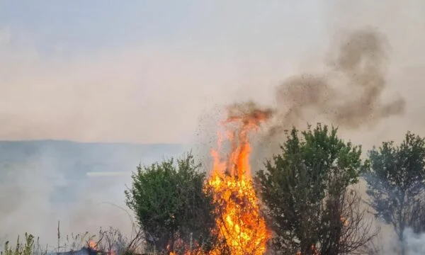 Rapport récent : 38 scènes d'incendie au Kosovo, 24 continuent d'être actives