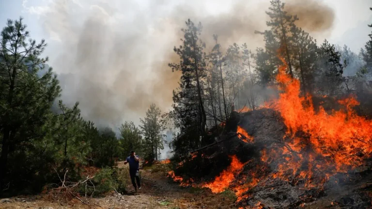 23 Fire Hall Reported Within Six Hours in Kosovo, 11 Still Active