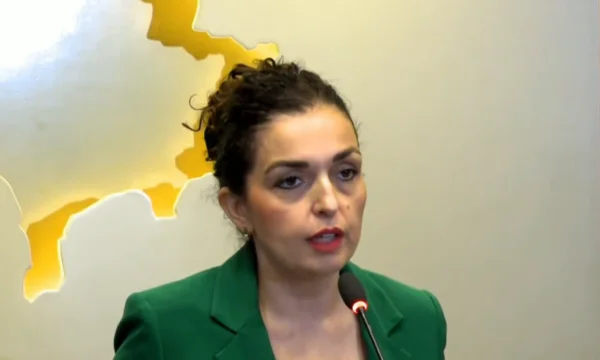 Osmani: MPs address the court again