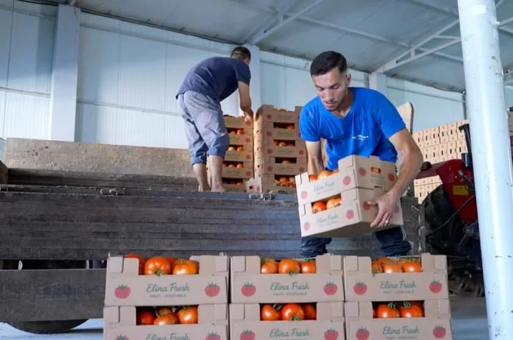 Les périphéries locales vont à l'étranger, le marché se remplit d'importation