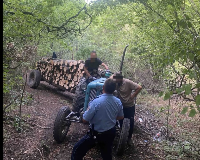 La police de Zvecan arrête deux personnes pour vol de forêt