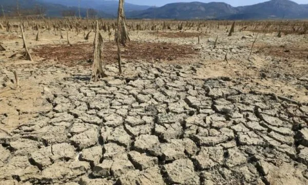 This year's July, among the heat, increasing global warming what scientists warn