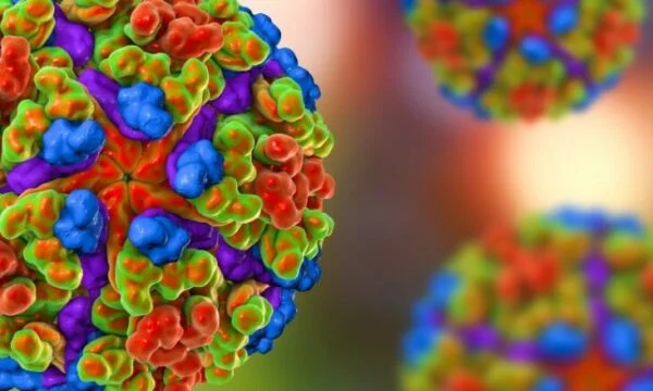 Was ist das ʹchiechongingya ʹ Virus, das Tausende von Menschen in China infiziert hat?