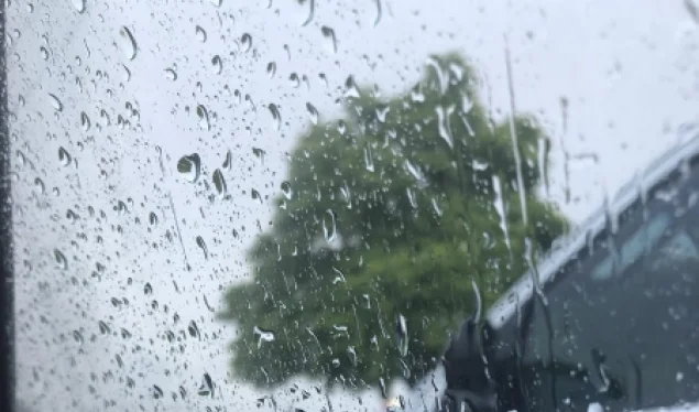 Last week's weather forecast