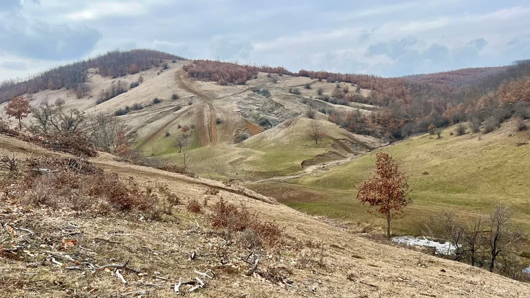 Confessione di Gashi: Srdjan Siqim ha ucciso tre serbi, Serbia cercando di produrre evento