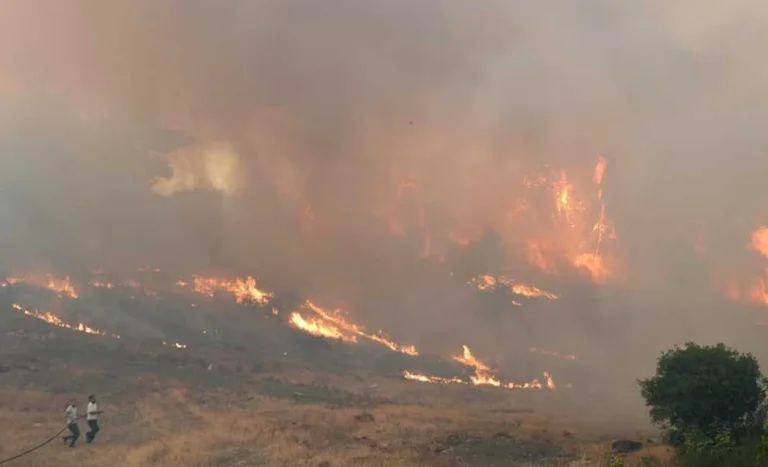 Injuries caused by fires, Albanian Government with support packages