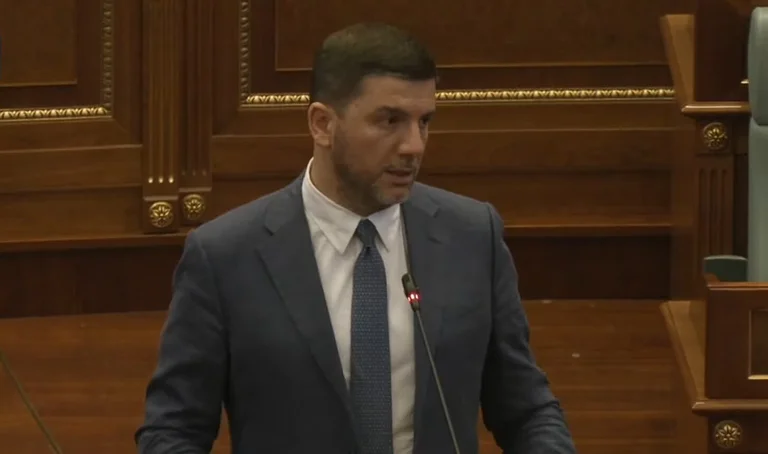 Krasniqi: We're going to let Kurti's authoritarian mentality and dictatorship pass through.