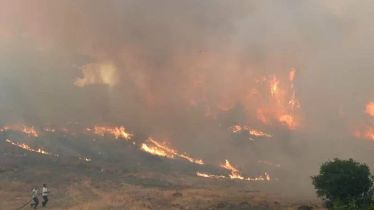 Albanie: Environ 26 000 hectares de forêts et de buissons brûlés sont endommagés