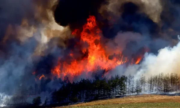 Firefighters overloaded: fires erupt in Balkans