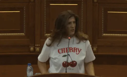Musliu: The VV understand that the Assembly is not their headquarters